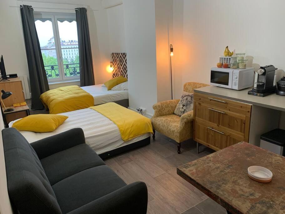 Apartmán Chez Alam A L'Opera De Lyon Exteriér fotografie