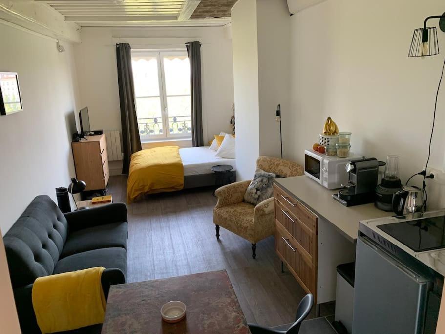 Apartmán Chez Alam A L'Opera De Lyon Exteriér fotografie